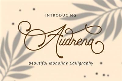 Audrena   Beautiful Monoline Font