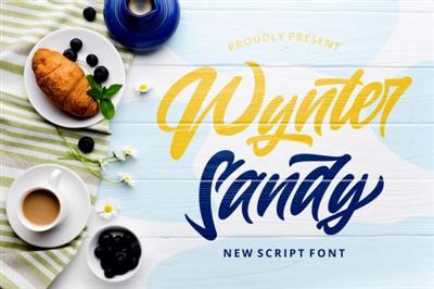 Wynter Sandy   Bold Script Font