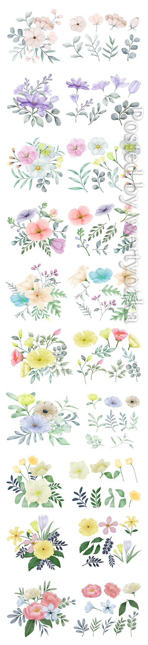Vector flowers painted with watercolors