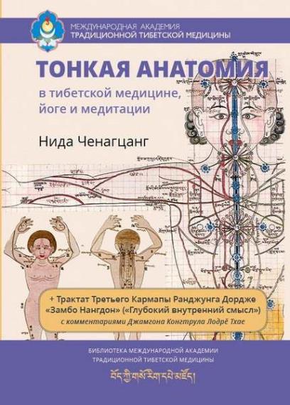 Нида Ченагцанг - Тонкая анатомия в тибетской медицине, йоге и медитации. Ключ к энергетической структуре человека