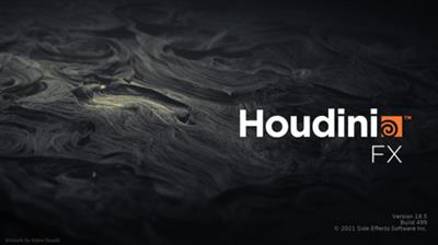 SideFX Houdini FX 18.5.563  (x64)