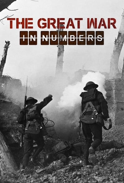 The Great War in Numbers S01E04 iNTERNAL 1080p HEVC x265-MeGusta