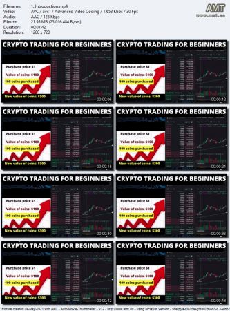 Cryptocurrency Trading Crash Course For  Beginners Da92186850ac4fd5e7004121e64cba50