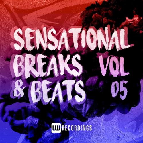 VA - Sensational Breaks & Beats, Vol. 05 [LWSBNB05]