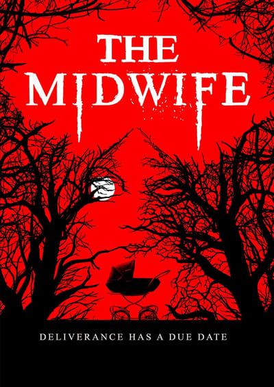 The Midwife 2021 WEB-DL x264-FGT