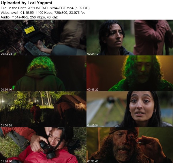 In the Earth 2021 WEB-DL x264-FGT