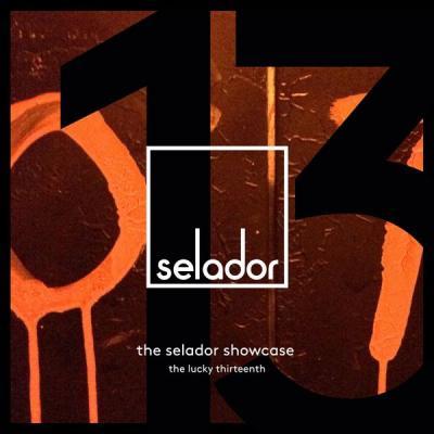 Various Artists   The Selador Showcase   The Lucky Thirteenth (2021)