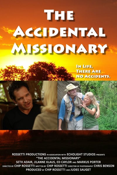 The Accidental Missionary [2012] 1080p WEBRip x265-RARBG