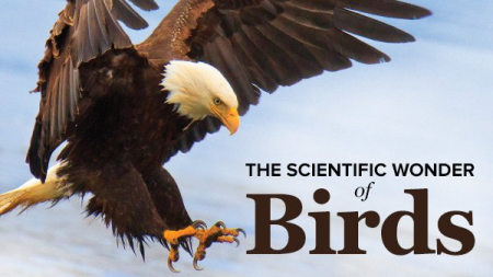TTC - The Scientific Wonder of Birds