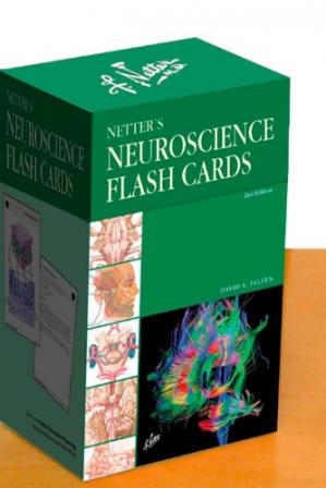 Netter's Neuroscience Flash Cards, 2nd edition