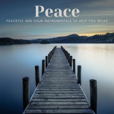 Various Artists   Peace Peaceful and Calm Instrumentals to Help You Relax (2021)