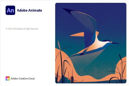 Adobe Animate 2021 v21.0.6.41649 (x64) Multilingual