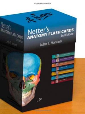 Netter's Anatomy Flash Cards (Netter Basic Science), 3rd Edition