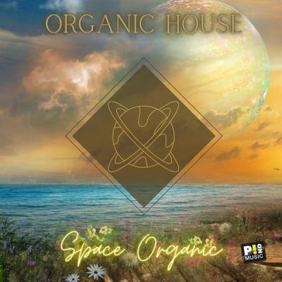 Various Artists   Organic House   Space Organic (2021)