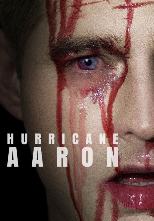 Huragan Aaron / Hurricane Aaron (2019) PL.1080p.WEB-DL.x264.AC3-KROP / Lektor PL