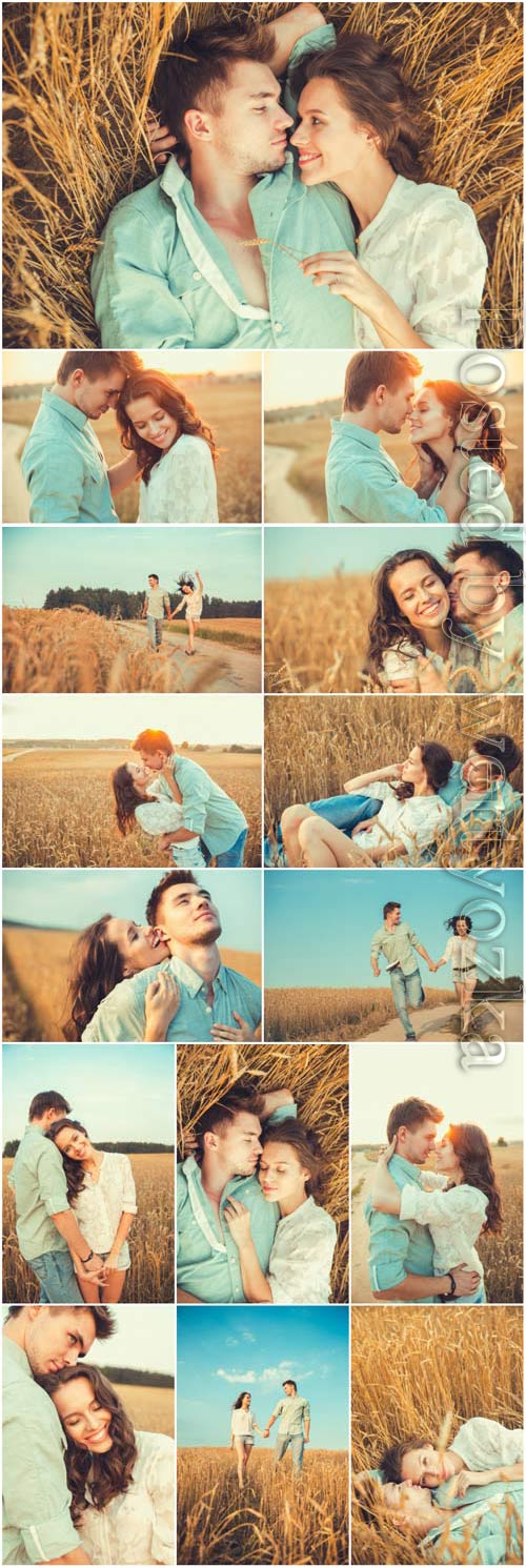Romantic couple in wheat field stock photo