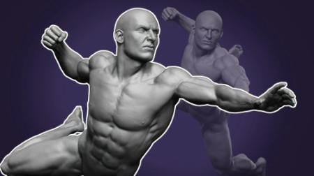 Dynamic Male Anatomy for Artists in Zbrush : Make Realistic 3D Human Model