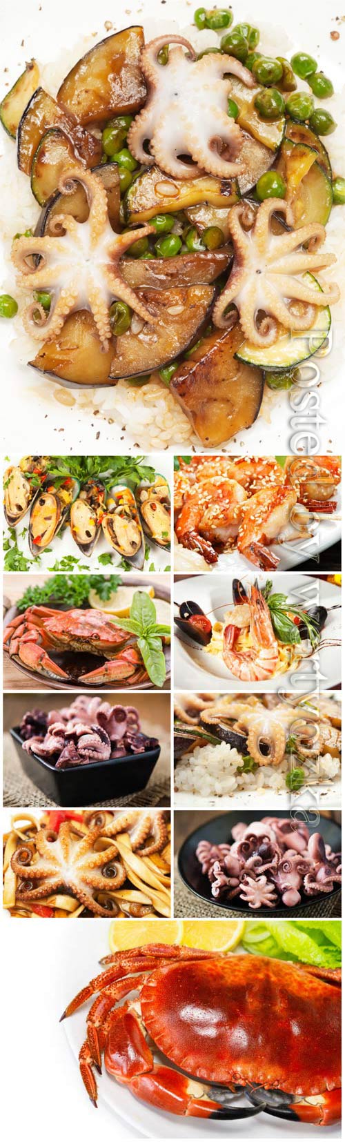 Crabs, mussels and shrimps stock photo
