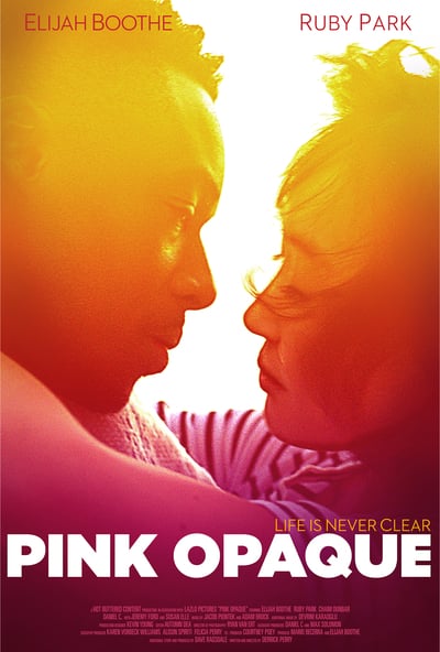 Pink Opaque (2020) 1080p WEB-DL AAC H264-CMRG