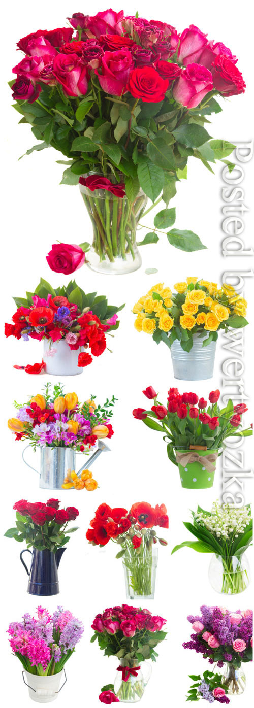 Roses, tulips, poppies, and hyacinths stock photo