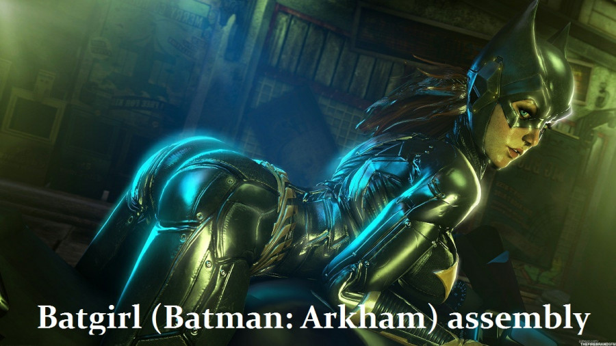 Batgirl (Batman: Arkham) assembly