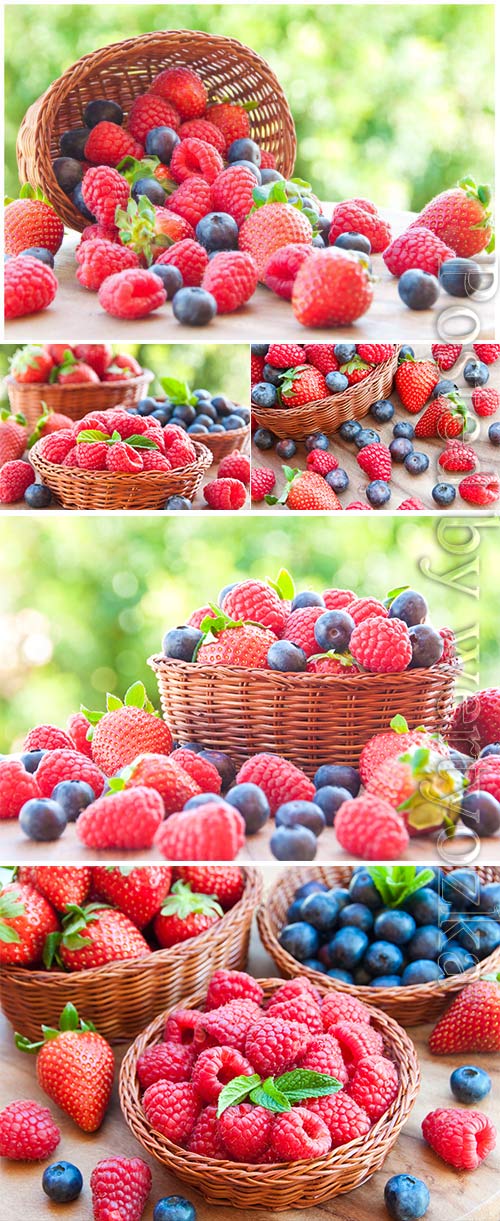 Basket with raspberries and blueberries stock photo