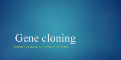 Biotechnology: Basics of gene cloning and gene therapy