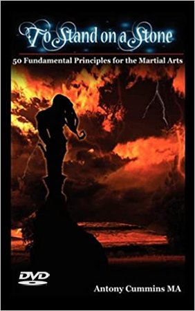 To Stand on a Stone: 50 Fundamental Principles of Martial Arts