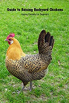 Guide to Raising Backyard Chickens: Raising Chickens for Beginners: Chickens Raising Guide for Beginners by Antonia Clayton