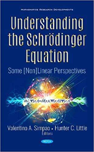 Understanding the Schrödinger Equation: Some Non linear Perspectives