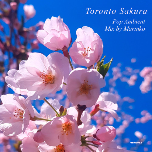 Toronto Sakura - Mix by Marinko (2021) FLAC