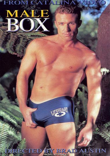 Male Box /   (Brad Austin, Catalina Video) [1999 ., Anal Sex, Oral Sex, Masturbation, Voyeurism, DVDRip]