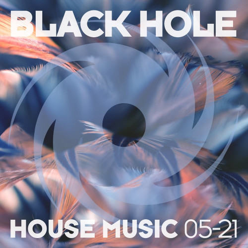 Black Hole House Music 05-21 (2021)