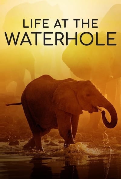 Life at the Waterhole S01E01 1080p HEVC x265-MeGusta