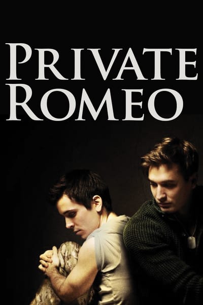 Private Romeo (2011) WEBRip XviD MP3-XVID