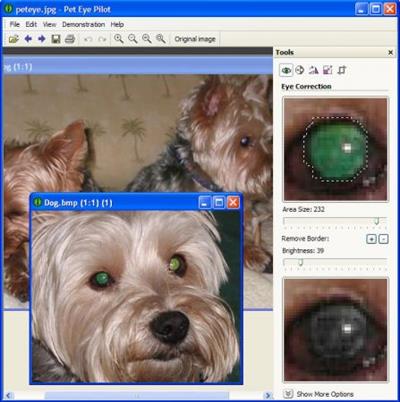 Pet Eye Pilot  3.13.0
