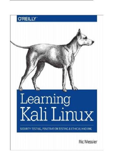 Рик Мессье - Изучение Kali Linux. Тестирование безопасности