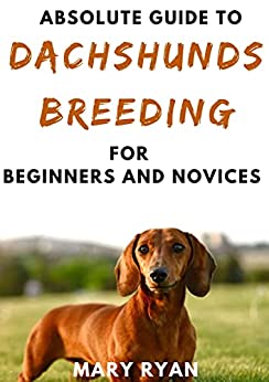 Absolute Guide To Dachshunds Dog Breeding For Beginners And Novices