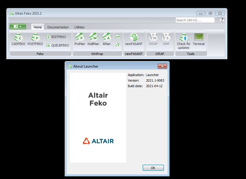 Altair HW FEKO 2021.1.0 Win64