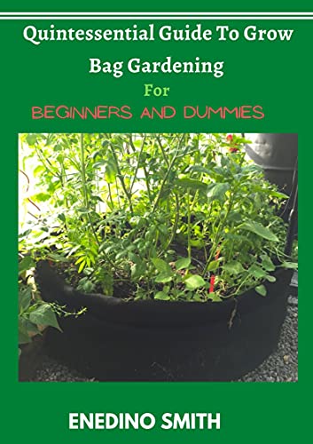 Quintessential Guide To Grow Bag Gardening For Beginners And Dummies