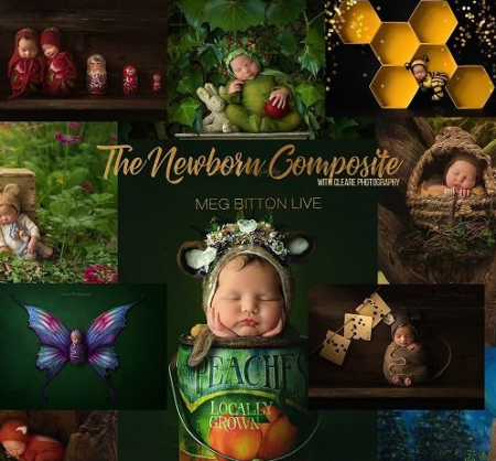Meg Bitton - Newborn Composite Workshop