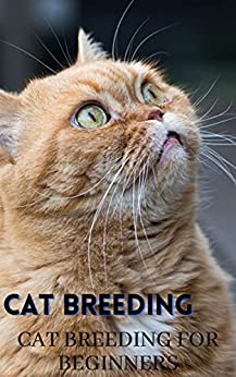 Cat Breeding: Cat Breeding for beginners