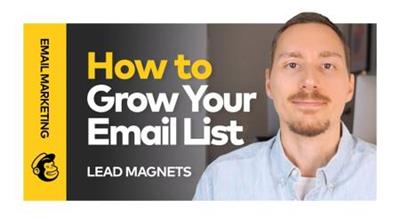 Email Marketing: Using Lead Magnets to Grow Your List in  Mailchimp 1e926d7e7961348fe74185a33aca4d48