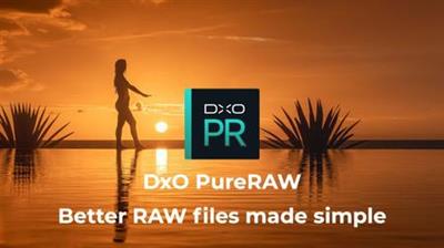 DxO PureRAW 1.1.0 Build 221 Multilingual Portable