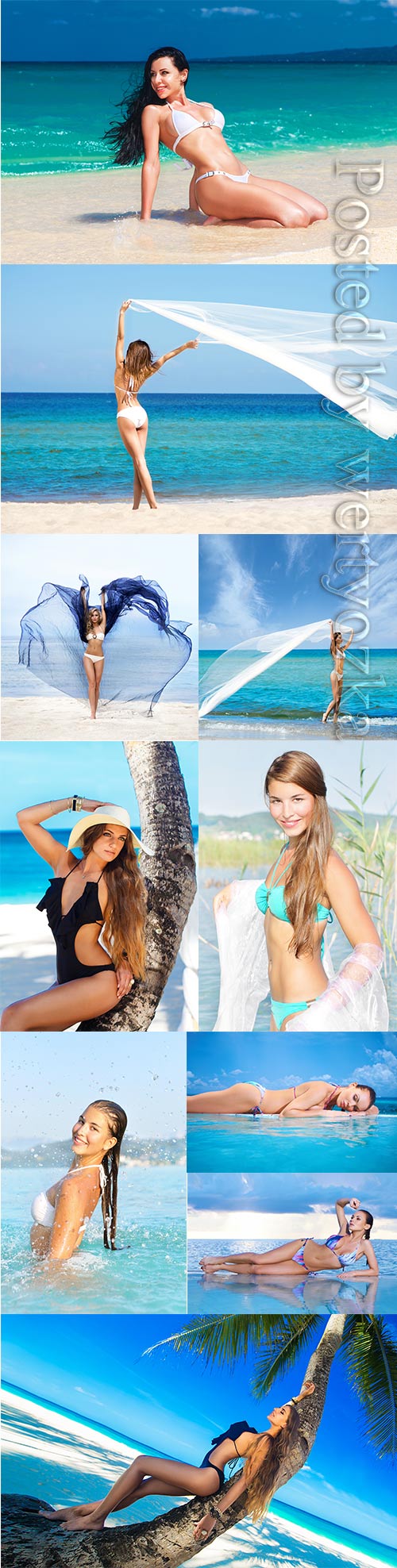 Girls in swimsuits on the seashore stock photo
