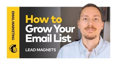 Email Marketing: Using Lead Magnets to Grow Your List in Mailchimp