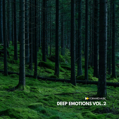 Deep Emotions Vol 2 (2021)