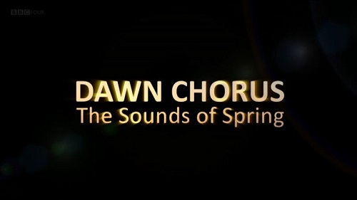 BBC - Dawn Chorus The Sounds of Spring (2015)