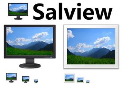 Salview  2.3 + Portable