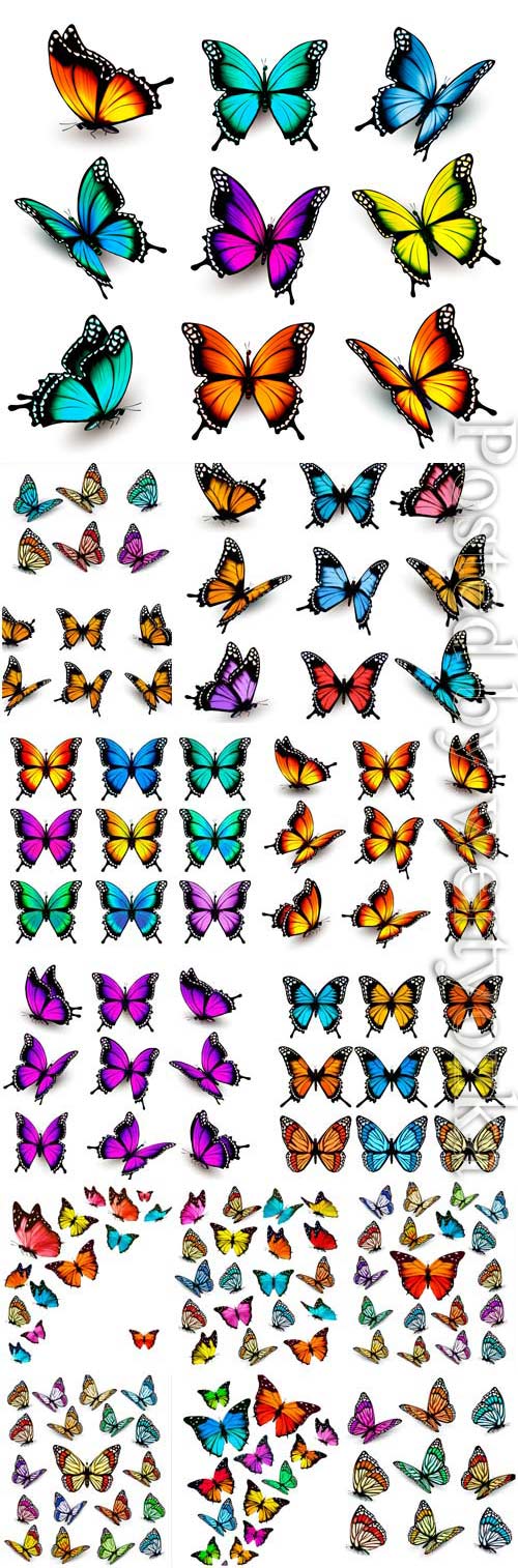 Butterflies of different colors and types in vector